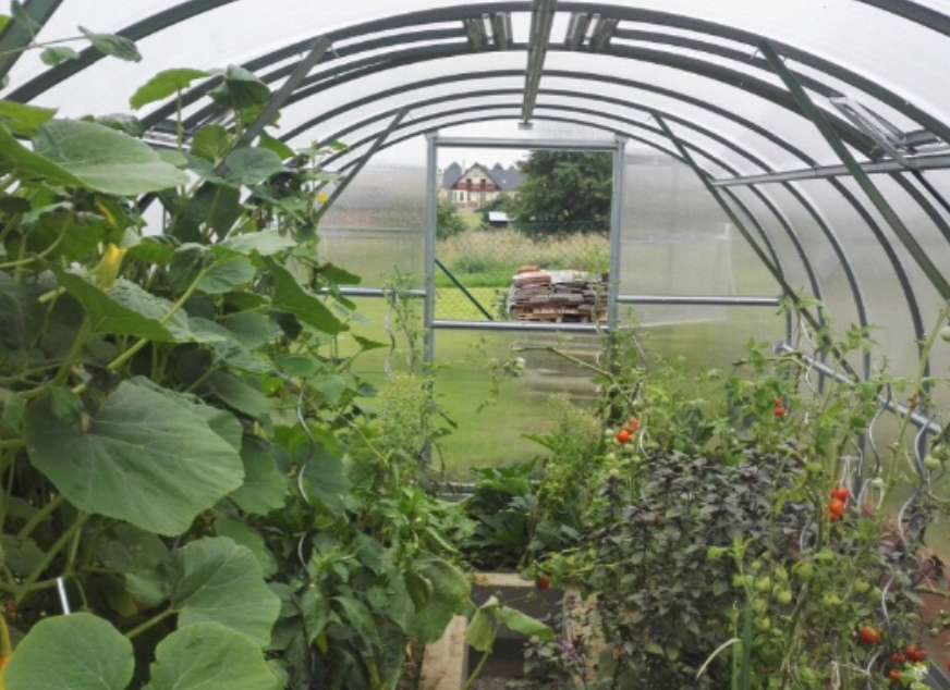 NothGreenhouses - Northgreenhouses