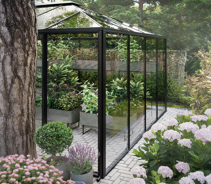 Black framed greenhouse in a garden with flowers and plants