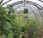 CLASSIC ROUND ROOF POLYCARBONATE GREENHOUSE - Northgreenhouses