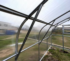 Partial view of a greenhouse structure with transparent covering and metal frame.