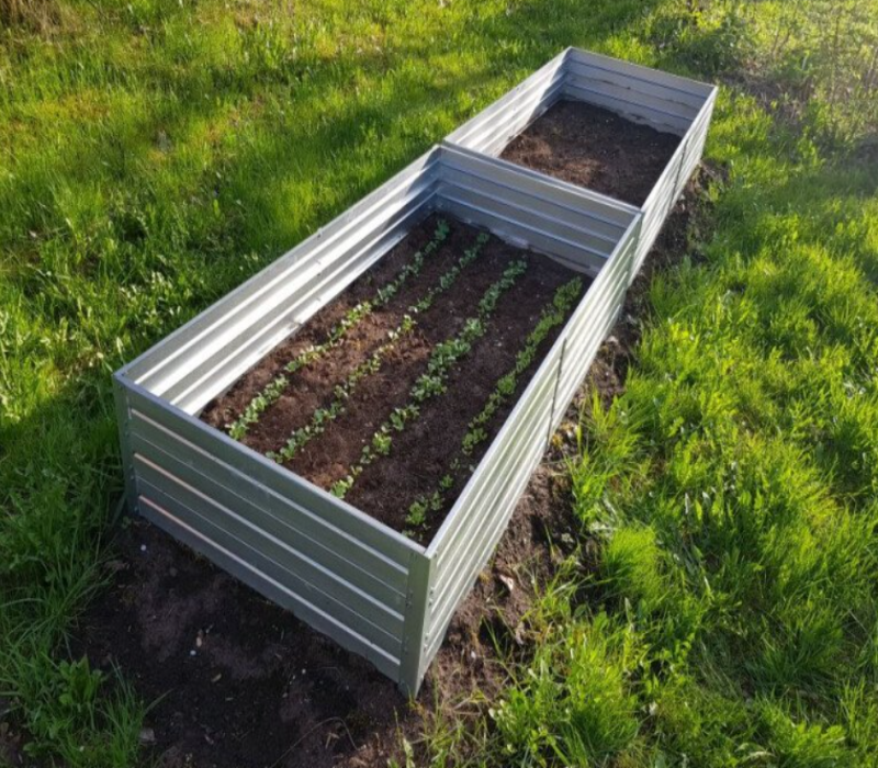 GREENHOUSE/GARDEN BED